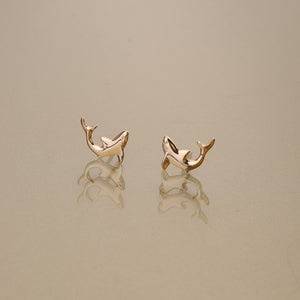 Gold 750 Galapagos shark whitetip stud earrings small