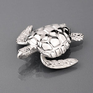 Sea Turtle Sculpture / Marine Reserve Tribute